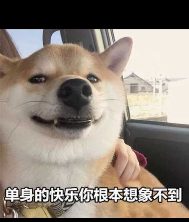 LAst单身的快乐你根本想象不到