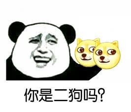 你是二狗吗