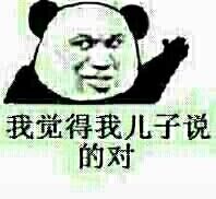 我觉得我儿子说得对