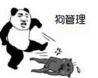 狗管理