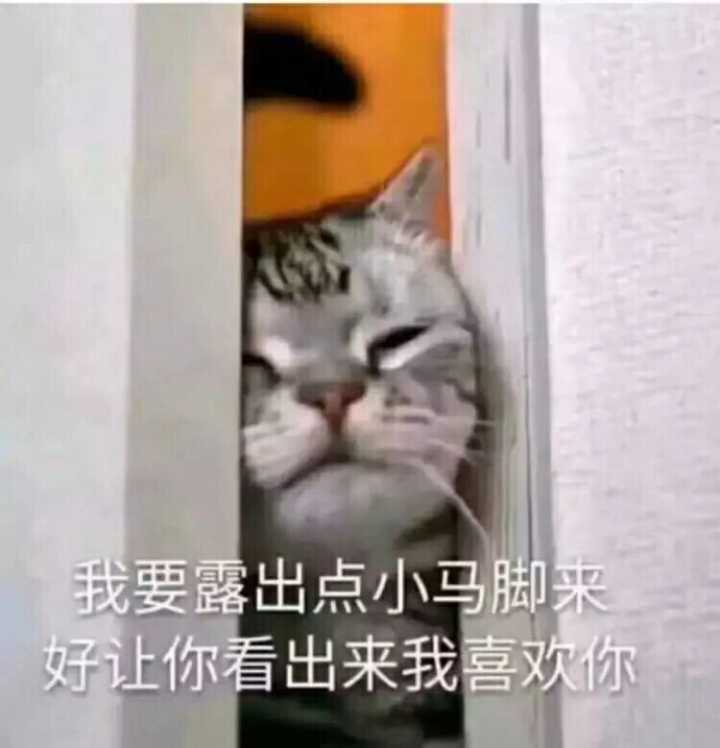 我要露出点小马脚来好让你看出来我喜欢你