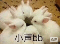 小声bb