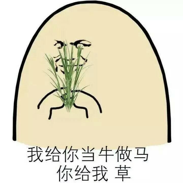 我给你当牛做妈草