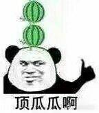 顶瓜瓜啊