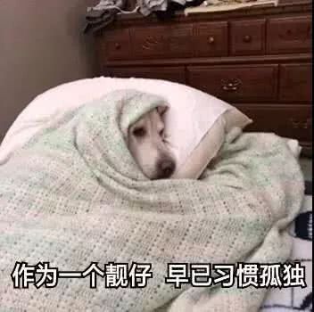 为个靓早已习惯孤独