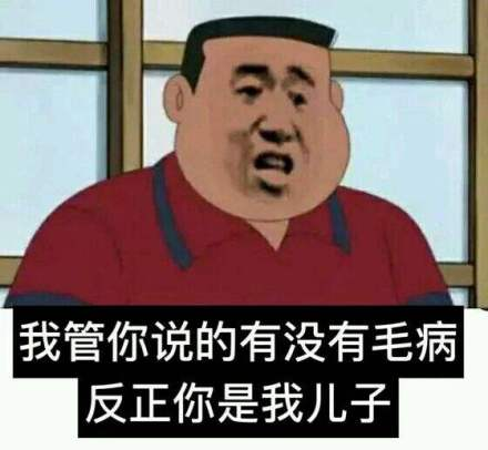 我管你说的有没有毛病反正你是我儿子