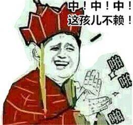 中中中，这孩儿不赖