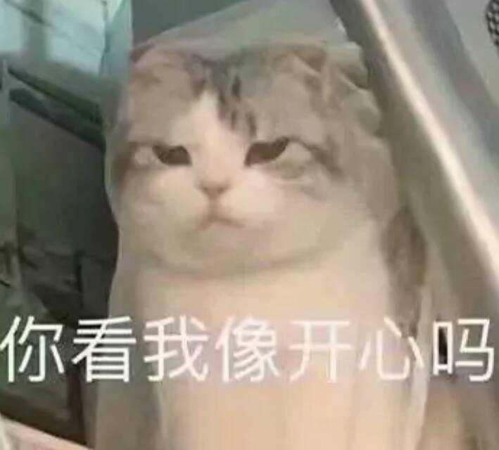 你看我像开心吗