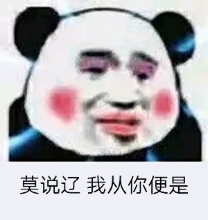 莫说辽我从你便是