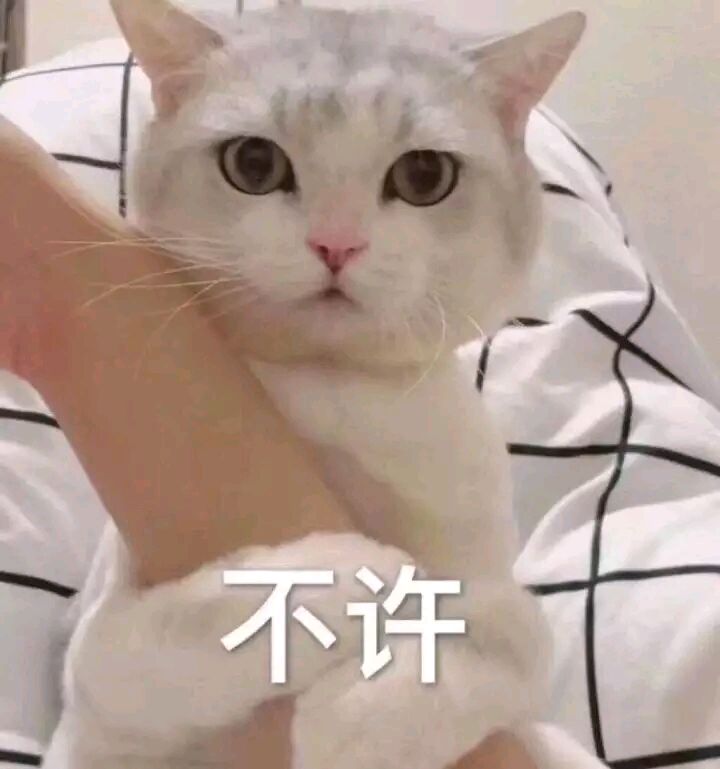 不许