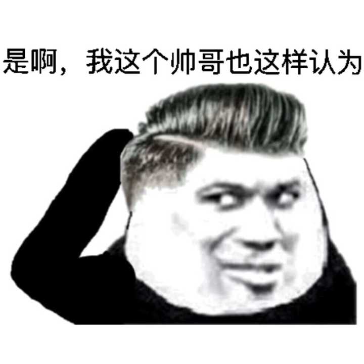 是啊，我这个帅哥也这样认为