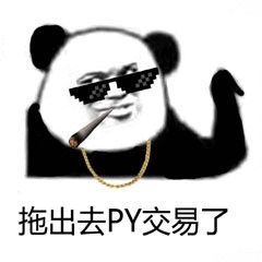 拖出去py交易了