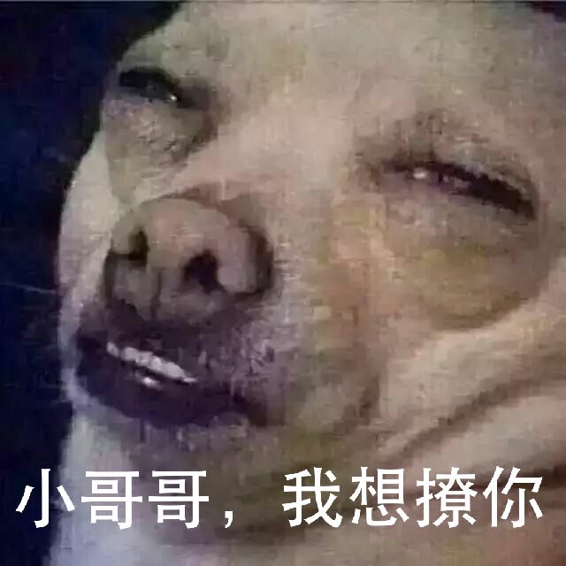 小哥哥，我想撩你