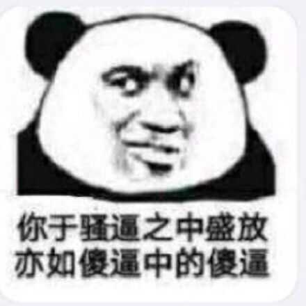 你于骚逼之中盛放亦如傻逼中的傻逼