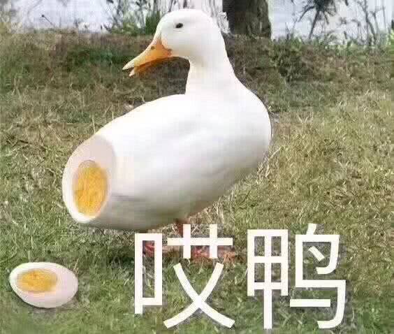 哎鸭