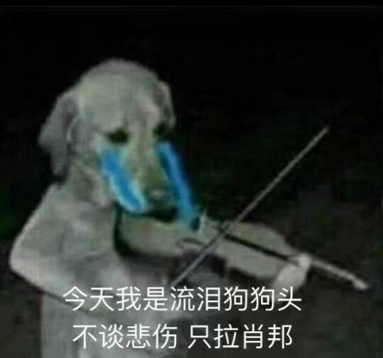 今天我是流泪狗狗头