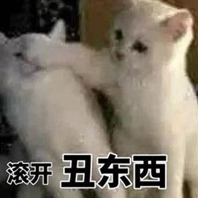 滚开丑东西