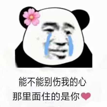 能不能别伤我的心那里面住的是你