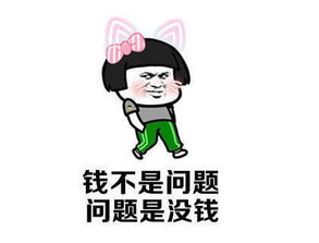 钱不是问题问题是没钱