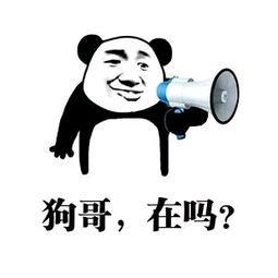 狗哥，在吗？