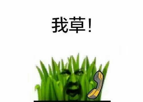 我草