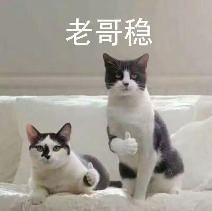 老哥稳