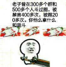 老子曾在200多个群里和500多个人斗过图