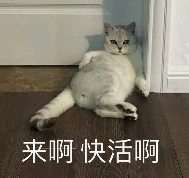 来啊快活啊