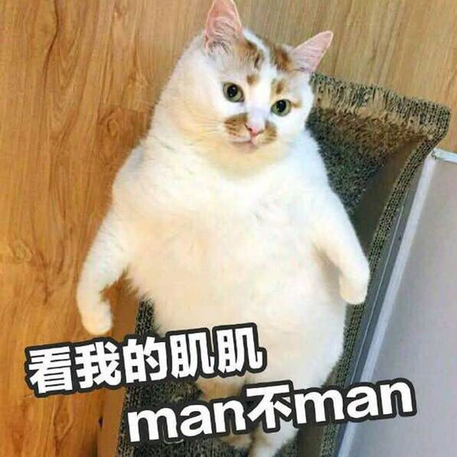 看我的肌肌man不man