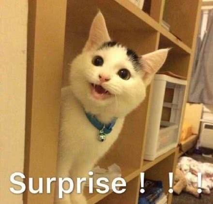 surprise