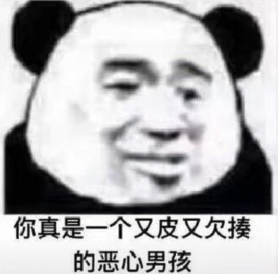 你真是一个又皮又欠揍的恶心男孩