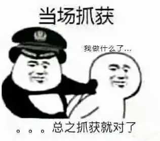 当场抓获我做什么了。。。总之抓获就对了