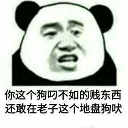 你这个 掉毛不如的贱东西