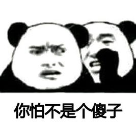 你怕不是个傻子