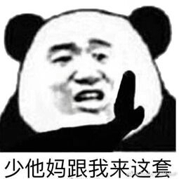 少他妈跟我来这套