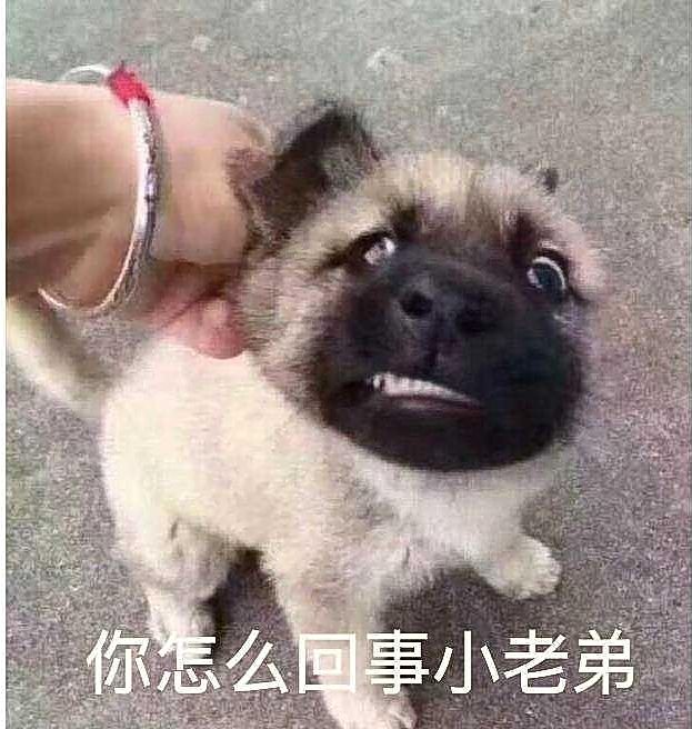 你怎么事小老弟