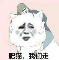 肥猫，我们走