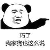巧了，我家狗也这么说
