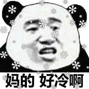 妈的，好冷啊