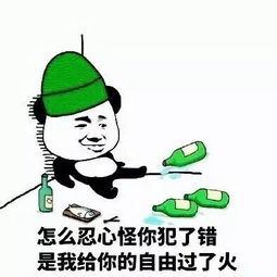 怎么忍心怪你犯了错