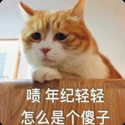 呲，年级轻轻怎么是个傻子