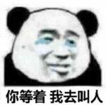 你等着我去叫人