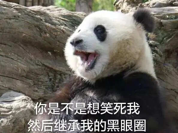 你是不是想笑死我