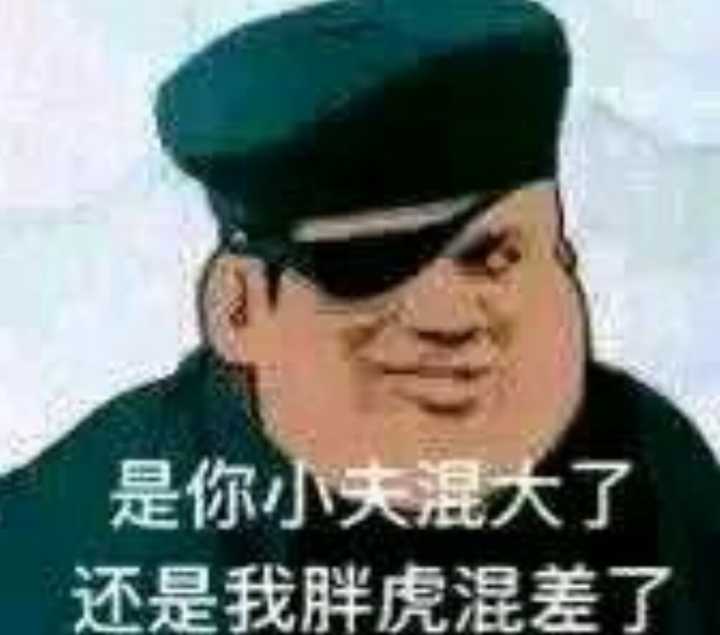 是你小混大了还是我胖虎混差了