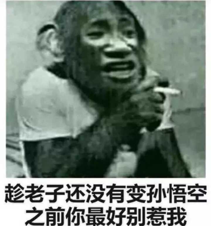 趁老子还没有变成送悟空之前最好别惹我