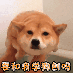 要和我学狗创吗