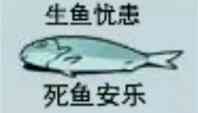 生鱼忧患死鱼安乐