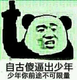 自古傻逼出少年