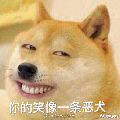 你的笑容像一条恶犬