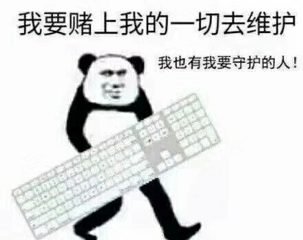 我要赌上我的一切去维护